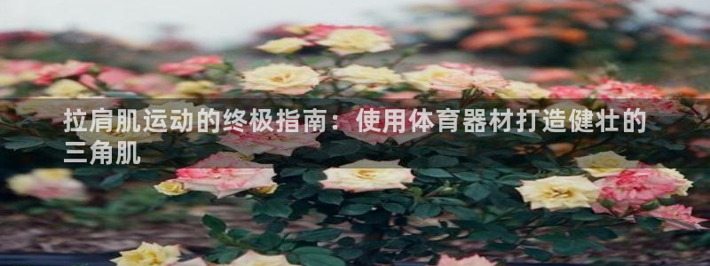 星游娱乐1官网下载：拉肩肌运动的终极指南：使用体育器