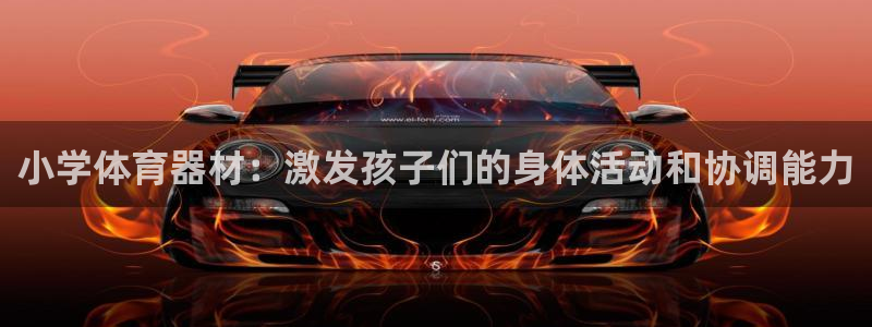 星欧娱乐工711.112怎么没有了：小学体育器材：激