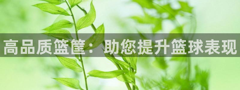 星澳娱乐公司地址：高品质篮筐：助您提升篮球表现