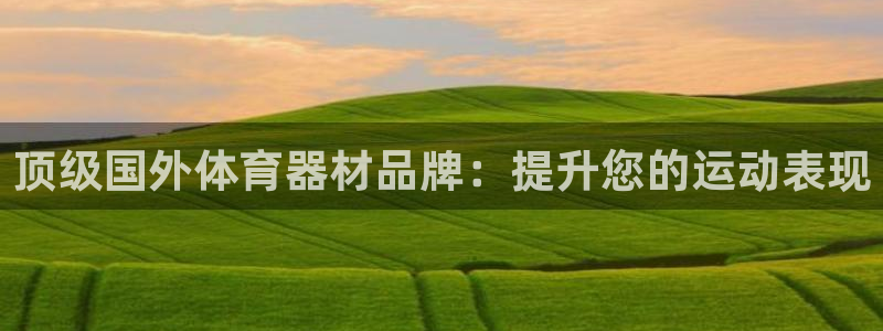 星欧娱乐扣款时间查询方法怎么查不到：顶级国外体育器材