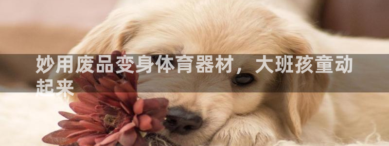 星欧娱乐退款流程详解：妙用废品变身体育器材，大班孩童