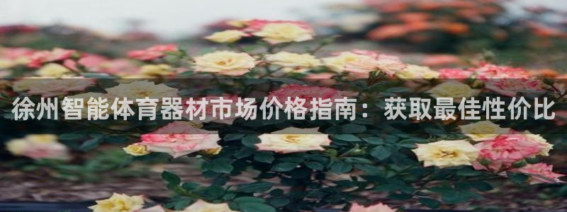 星欧娱乐公司创始人背景故事介绍：徐州智能体育器材市场