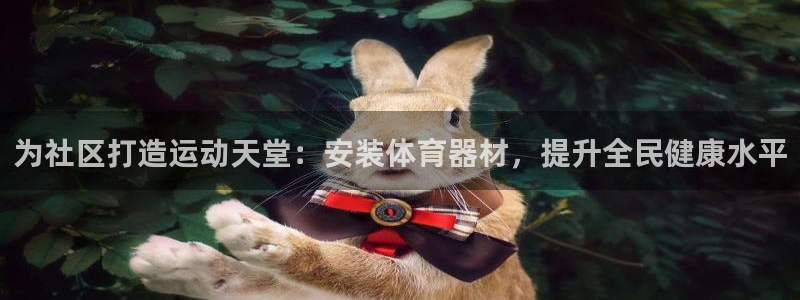 江苏星奥娱乐有限公司招聘：为社区打造运动天堂：安装体