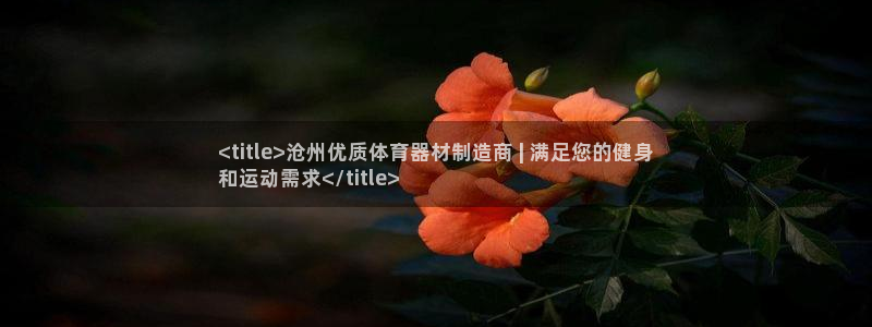 星游娱乐下载地址：<title>沧州优质体育器材制造