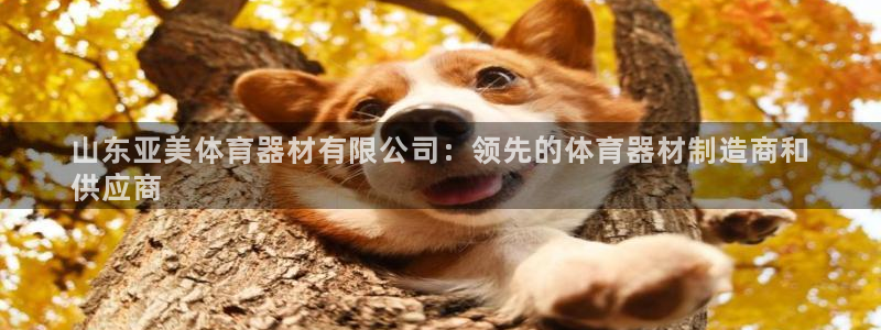 星欧娱乐是什么品牌：山东亚美体育器材有限公司：领先的