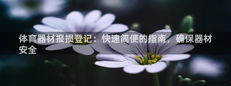 星欧娱乐的官方版本更新内容有哪些：体育器材报损登记：