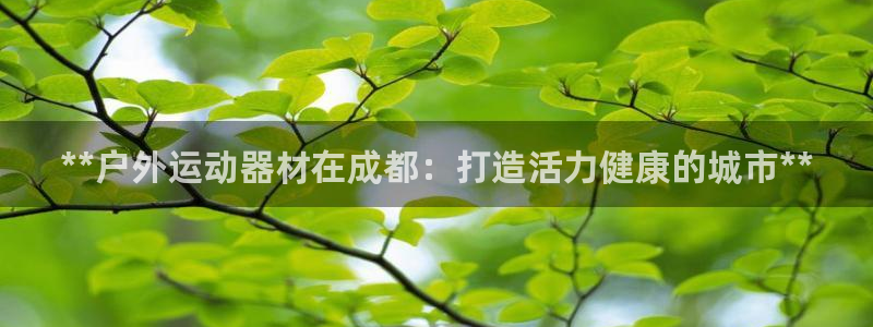 星欧娱乐公司：**户外运动器材在成都：打造活力健康的