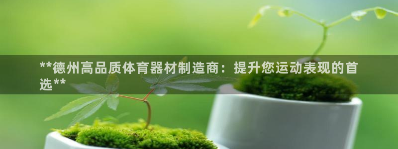 星欧娱乐是正规品牌吗：**德州高品质体育器材制造商：