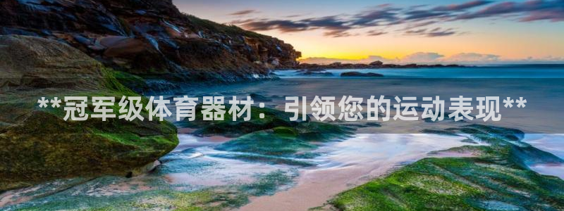 星欧娱乐扣款时间查询方法怎么查的：**冠军级体育器材