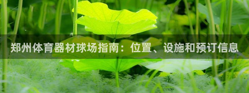 星欧娱乐最建议买的三个产品有哪些：郑州体育器材球场指