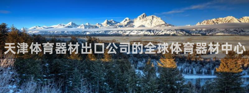 星欧娱乐平台怎么样知乎推荐：天津体育器材出口公司的全