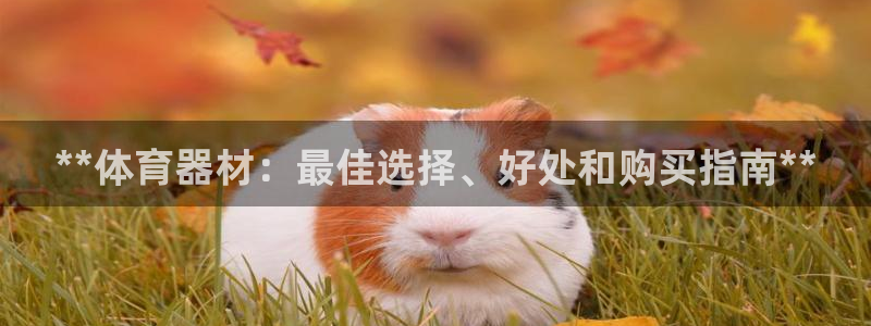 星欧娱乐平台都7O777：**体育器材：最佳选择、好