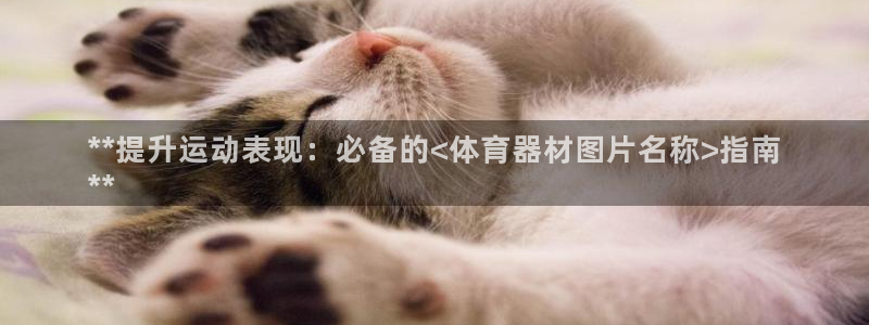 星欧娱乐最建议买的三个产品有哪些：**提升运动表现：