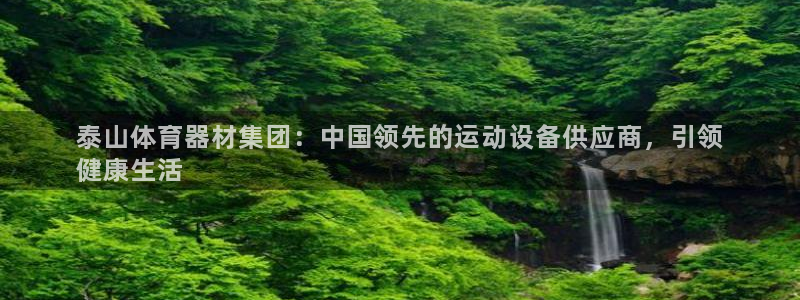 星欧娱乐是正规平台吗：泰山体育器材集团：中国领先的运