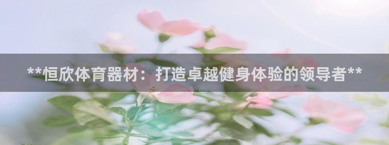 星欧娱乐最建议买的三个产品是：**恒欣体育器材：打造