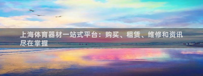 星欧娱乐巴711.112扣费记录查询方法：上海体育器