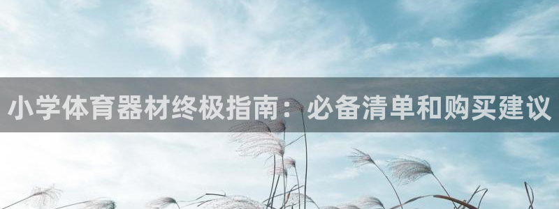 星欧娱乐是正规平台吗：小学体育器材终极指南：必备清单