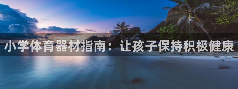 星欧娱乐公司电话号码查询：小学体育器材指南：让孩子保