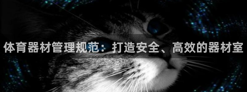 星欧娱乐伐711.112扣费的原因及处理措施：体育器