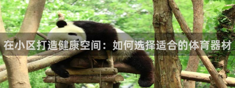 星欧娱乐扣款流程详解图片：在小区打造健康空间：如何选