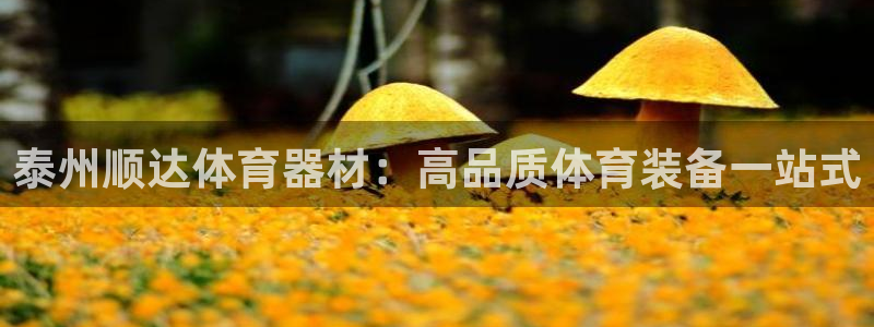 星欧娱乐最建议买的三个产品有哪些呢：泰州顺达体育器材