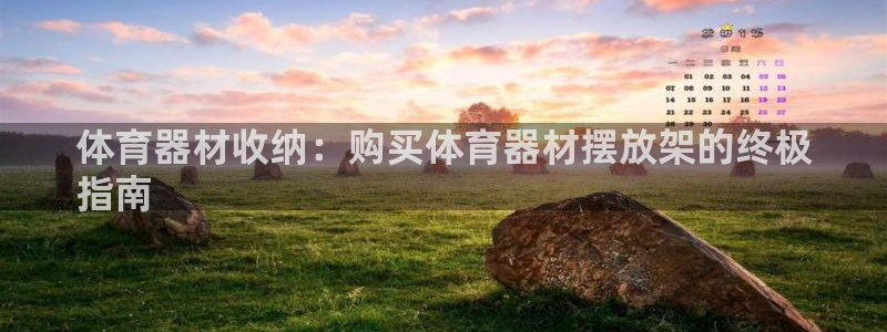 星游娱乐1官网下载：体育器材收纳：购买体育器材摆放架