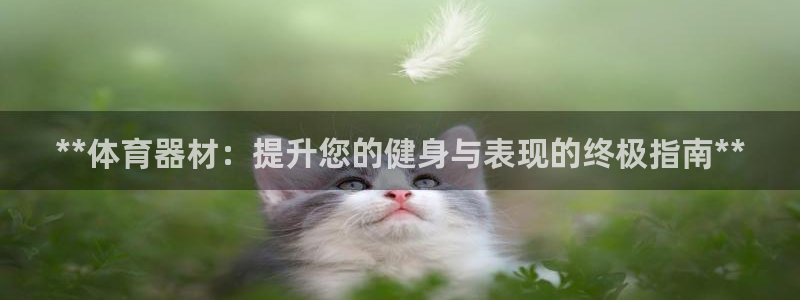 星欧娱乐巴711.112扣费记录查询方法：**体育器