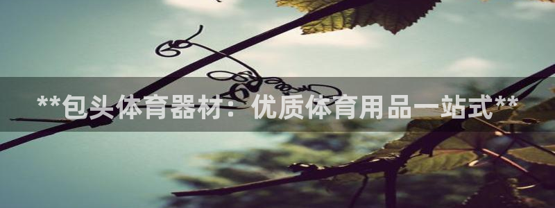星欧娱乐伐711.112扣费的原因及处理措施：**包