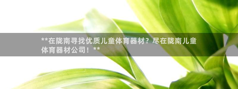星欧娱乐是正规品牌吗：**在陇南寻找优质儿童体育器材
