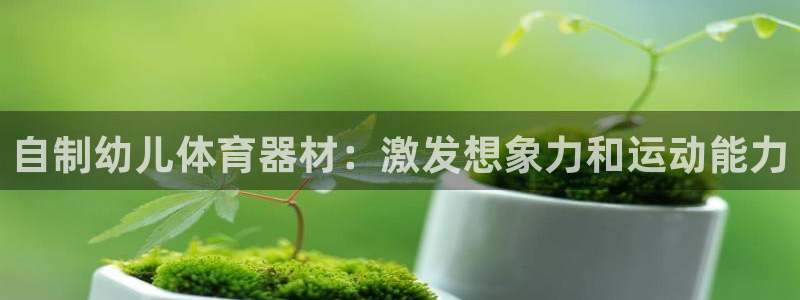 星欧娱乐扣款流程详解：自制幼儿体育器材：激发想象力和