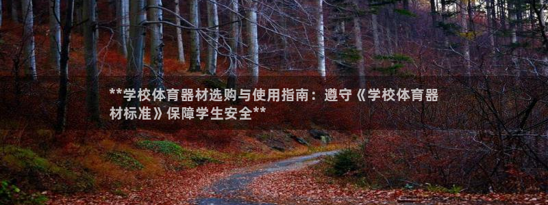 星欧娱乐方7O777：**学校体育器材选购与使用指南
