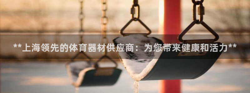星欧娱乐扣款流程详解图片大全：**上海领先的体育器材