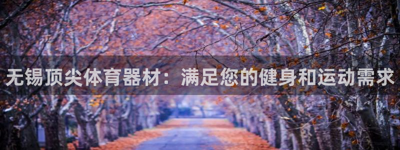 星欧娱乐公司地址：无锡顶尖体育器材：满足您的健身和运