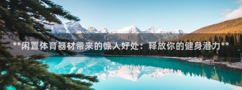 星澳娱乐公司：**闲置体育器材带来的惊人好处：释放你