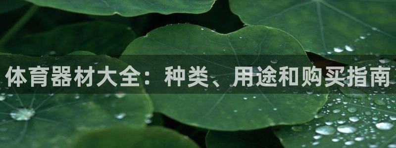 星欧娱乐联4.8.5.6.2.4.3下载：体育器材大