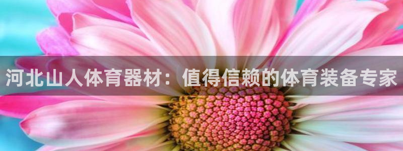 星欧娱乐官网：河北山人体育器材：值得信赖的体育装备专