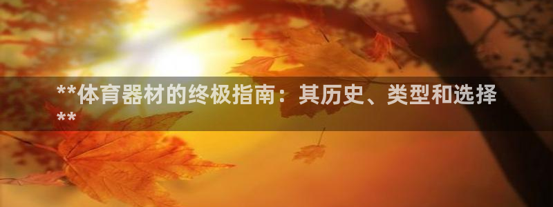 星欧娱乐公司地址：**体育器材的终极指南：其历史、类