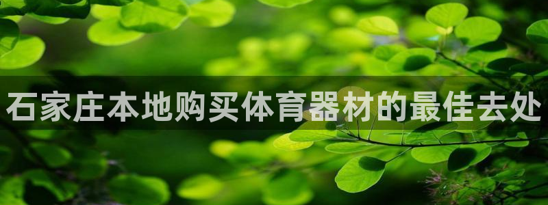 星欧娱乐发7O777：石家庄本地购买体育器材的最佳去