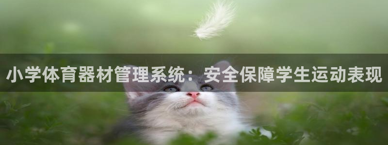 星欧娱乐最建议买的三个产品是什么呢：小学体育器材管理