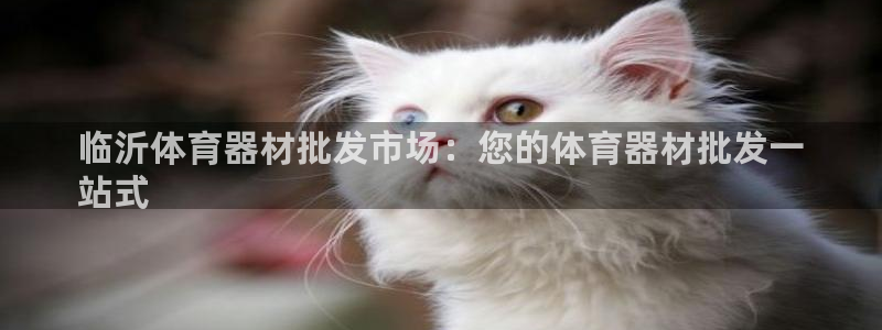 星娱乐online：临沂体育器材批发市场：您的体育器