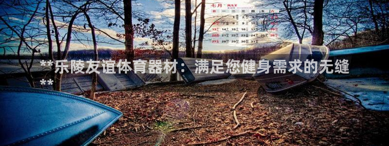 星欧娱乐平台道7O777：**乐陵友谊体育器材：满足