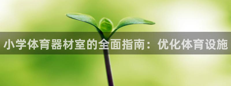 星澳娱乐公司简介：小学体育器材室的全面指南：优化体育