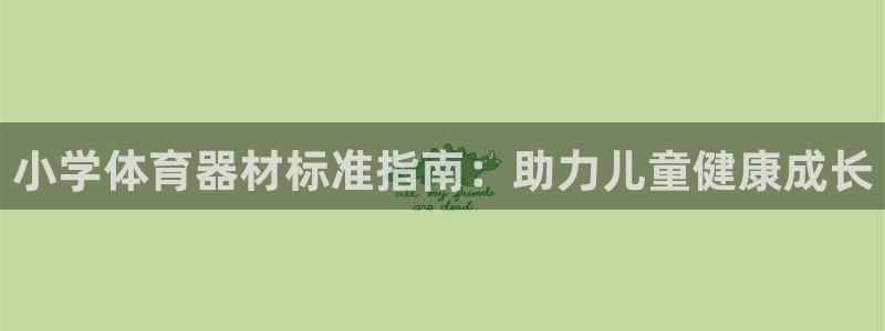 星欧娱乐公司简介：小学体育器材标准指南：助力儿童健康