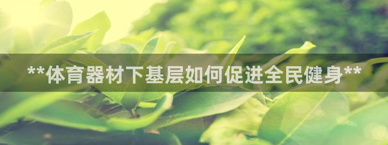 星娱乐包月是干嘛的：**体育器材下基层如何促进全民健