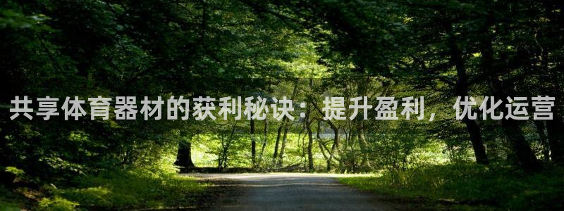 星欧娱乐彩票软件下载：共享体育器材的获利秘诀：提升盈