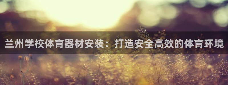 星欧娱乐挂机教程下载：兰州学校体育器材安装：打造安全