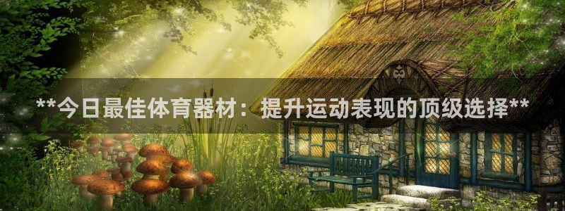澳星国际娱乐集团：**今日最佳体育器材：提升运动表现