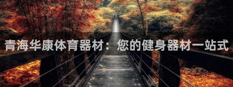 星欧娱乐扣款时间查询方法是什么：青海华康体育器材：您