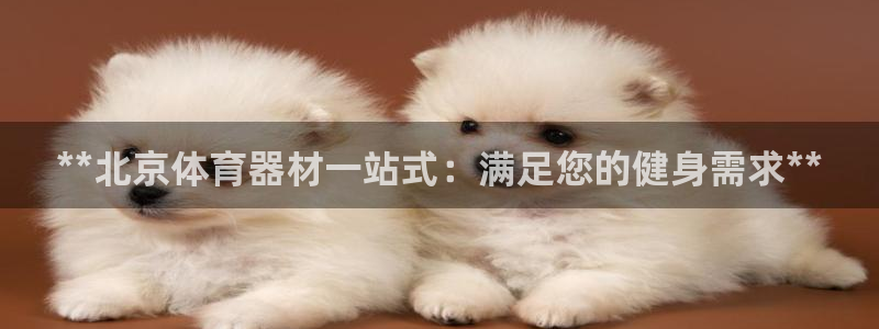 星欧娱乐是什么品牌：**北京体育器材一站式：满足您的