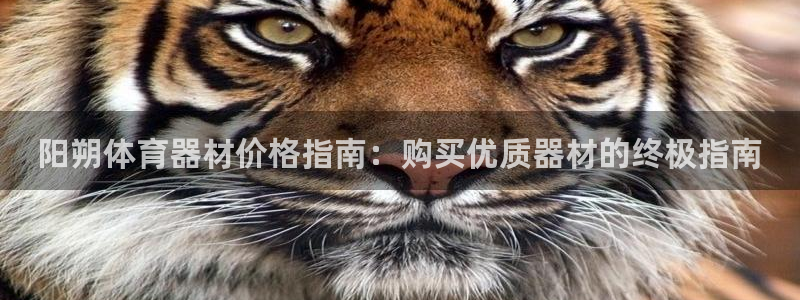 星欧娱乐是正规平台吗知乎文章：阳朔体育器材价格指南：